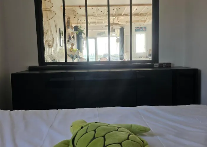 La Vue Et Port * Agde